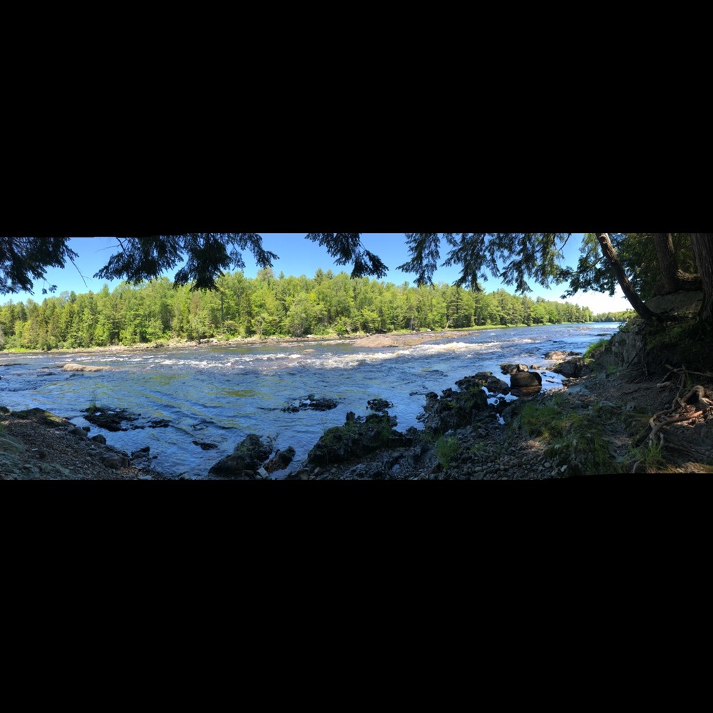 Meet your Posher, Gail